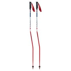 Swix WC Pro Carbon Ski Pole -The-raceplace 20 Swix Composite Race Pole GS