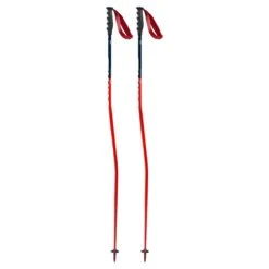 Swix WC Pro Aluminum Ski Pole -The-raceplace 20 Swix WC Race Pole GS