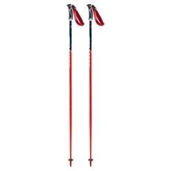 Swix WC Pro Aluminum Ski Pole -The-raceplace 20 Swix WC Race Pole SL