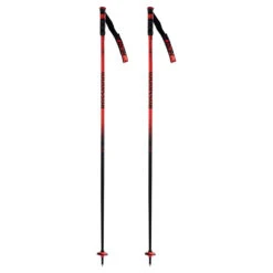 Rossignol Adult Hero Ski Pole -The-raceplace 2023 Rossi HERO SL Poles 1