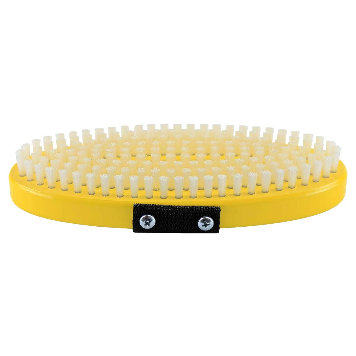 BEAST Oval Brush 5 BEAST Oval Brush - Image 3